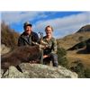 Image 3 : 6-day/7-night New Zealand Red Stag up to 405 SCI, Best Available Tahr and Chamois Hunt for Four Hunt