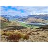 Image 7 : 6-day/7-night New Zealand Red Stag up to 405 SCI, Best Available Tahr and Chamois Hunt for Four Hunt