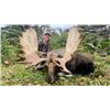 Image 1 : 6-day Newfoundland Eastern Canada Moose and Black Bear Hunt for One Hunter
