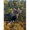 Image 3 : 6-day Newfoundland Eastern Canada Moose and Black Bear Hunt for One Hunter