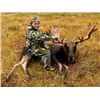 Image 4 : 6-day Newfoundland Eastern Canada Moose and Black Bear Hunt for One Hunter
