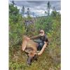 Image 5 : 6-day Newfoundland Eastern Canada Moose and Black Bear Hunt for One Hunter