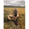 Image 6 : 6-day Newfoundland Eastern Canada Moose and Black Bear Hunt for One Hunter