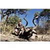 Image 2 : 8-day Namibia Plains Game Hunt with $6,000 credit for each hunter for Four Hunters