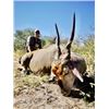 Image 3 : 8-day Namibia Plains Game Hunt with $6,000 credit for each hunter for Four Hunters