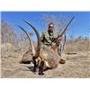 Image 5 : 8-day Namibia Plains Game Hunt with $6,000 credit for each hunter for Four Hunters
