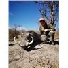 Image 6 : 8-day Namibia Plains Game Hunt with $6,000 credit for each hunter for Four Hunters