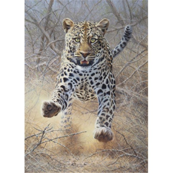Original Oil Painting on Canvas Titled "Adrenaline Shot" by Peter Stewart Fine Art