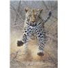 Image 1 : Original Oil Painting on Canvas Titled "Adrenaline Shot" by Peter Stewart Fine Art