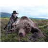 Image 3 : 6-day Kamchatka, Russia Brown Bear hunt for One Hunter and One Non-Hunter