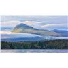 Image 5 : 5-day British Columbia Fishing Adventure and All-Inclusive Stay for Two Anglers