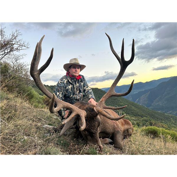 5-day Spain Free-Range Iberian Red Deer and European Fallow Deer Hunt for Two Hunters and Two Non-Hu