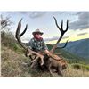 Image 1 : 5-day Spain Free-Range Iberian Red Deer and European Fallow Deer Hunt for Two Hunters and Two Non-Hu