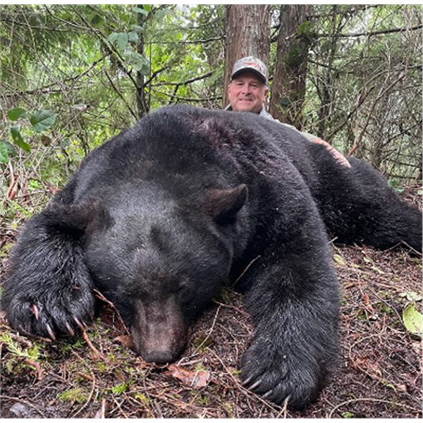 5-day British Columbia Coastal Black Bear Hunt for One hunter and One Non-hunter