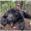 Image 1 : 5-day British Columbia Coastal Black Bear Hunt for One hunter and One Non-hunter