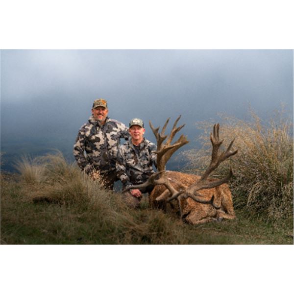 5-day New Zealand Red Stag Hunt (400-440 SCI) for Two Hunters