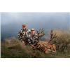 Image 1 : 5-day New Zealand Red Stag Hunt (400-440 SCI) for Two Hunters