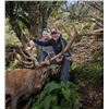 Image 2 : 5-day New Zealand Red Stag Hunt (400-440 SCI) for Two Hunters