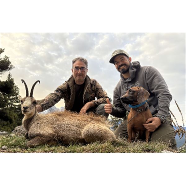 6-day Spain Roe deer and Pyrenean Chamois Hunt with Fishing on the Mediterranean Sea for Two Hunters