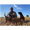 Image 2 : 6-day Spain Roe deer and Pyrenean Chamois Hunt with Fishing on the Mediterranean Sea for Two Hunters