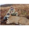 Image 2 : 5-day/6-night Alaska Guided Sea Ducks and Self-guided Sitka Black-tailed Deer and Fox Hunt for Two H