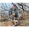 Image 3 : 5-day/6-night Alaska Guided Sea Ducks and Self-guided Sitka Black-tailed Deer and Fox Hunt for Two H