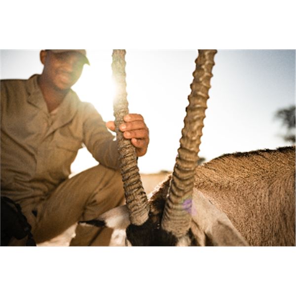 7-day Namibia Plains Game Hunt for Two Hunters and Two Non-Hunters