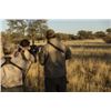 Image 3 : 7-day Namibia Plains Game Hunt for Two Hunters and Two Non-Hunters