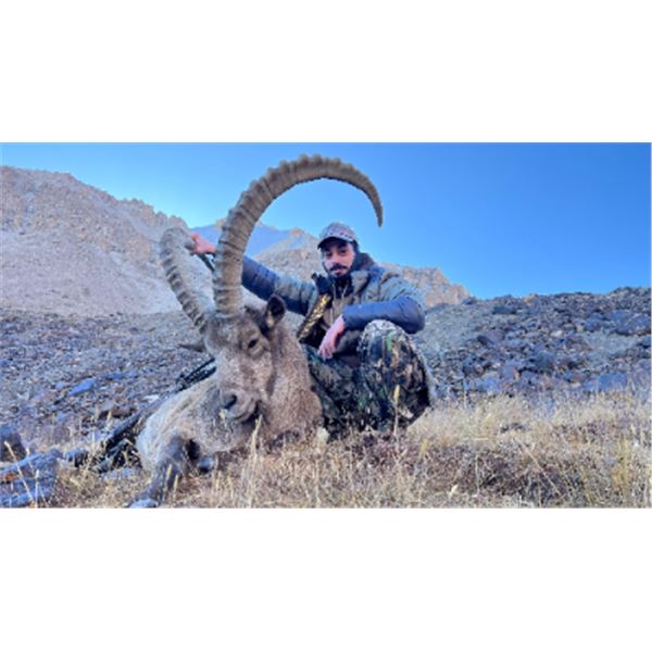 7-day Kyrgyzstan Mid-Asian Ibex Hunt for Two Hunters