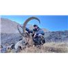 Image 1 : 7-day Kyrgyzstan Mid-Asian Ibex Hunt for Two Hunters