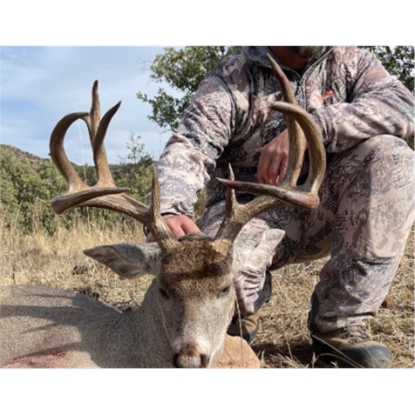 5-day Mexico Couse Deer Hunt for Two Hunters