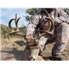 Image 1 : 5-day Mexico Couse Deer Hunt for Two Hunters