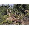 Image 1 : 3-day Utah Rocky Mountain Elk up to 360 SCI Hunt for One Hunter