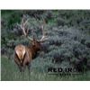 Image 2 : 3-day Utah Rocky Mountain Elk up to 360 SCI Hunt for One Hunter