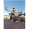 Image 1 : 6-day Mexico Desert Mule Deer Hunt for Two Hunters