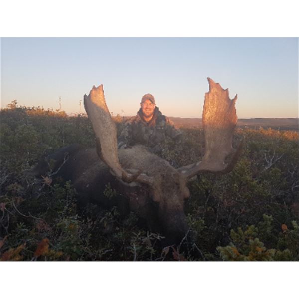 6-day Newfoundland Eastern Canada Moose Hunt for One Hunter and One Non-hunter