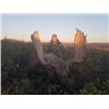 Image 1 : 6-day Newfoundland Eastern Canada Moose Hunt for One Hunter and One Non-hunter
