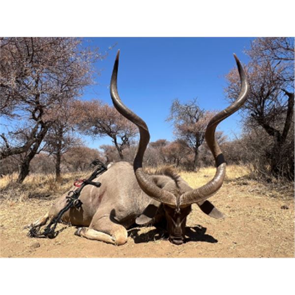10-day South Africa Spiral Horn Safari for Two Hunters