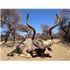 Image 1 : 10-day South Africa Spiral Horn Safari for Two Hunters