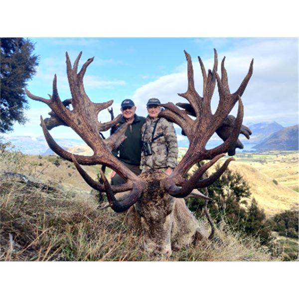 5-day New Zealand Red Deer Hunt up to 400 SCI for Two Hunters