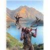 Image 2 : 5-day New Zealand Red Deer Hunt up to 400 SCI for Two Hunters