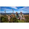 Image 1 : 7-day/6night (5-day hunt) Scottish MacNab Challenge for One hunter/angler