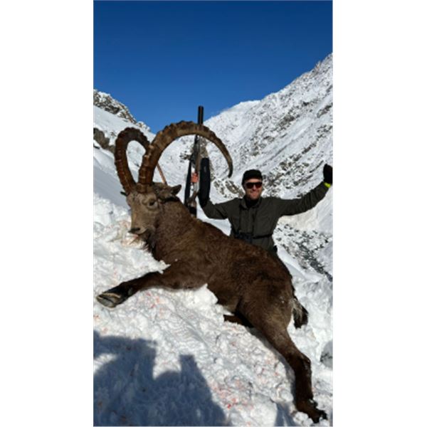 5-day Tajikistan Mid-Asian (Bukharan) Ibex Hunt for One Hunter