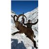 Image 1 : 5-day Tajikistan Mid-Asian (Bukharan) Ibex Hunt for One Hunter