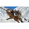 Image 2 : 5-day Tajikistan Mid-Asian (Bukharan) Ibex Hunt for One Hunter