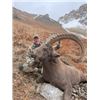 Image 3 : 5-day Tajikistan Mid-Asian (Bukharan) Ibex Hunt for One Hunter