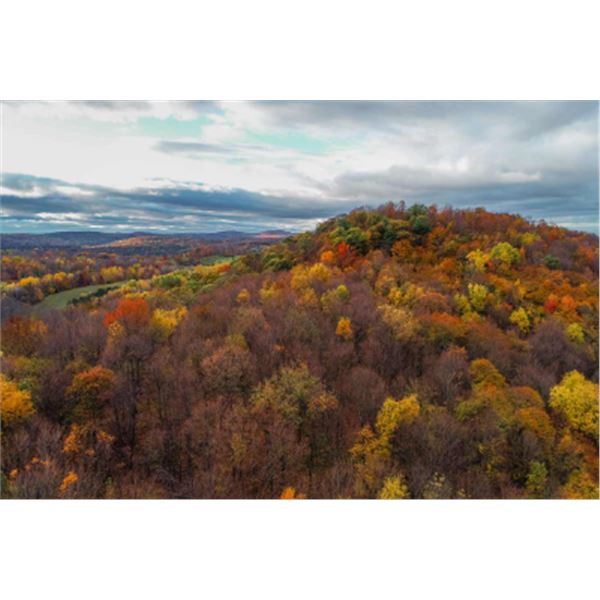 3-day/2-night New York Northeastern White-tailed Deer Up To 220 SCI Hunt for One Hunter and One Non-