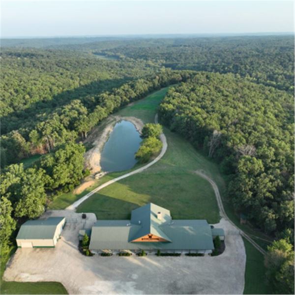 3-1/2 day Missouri Midwestern White-tailed Deer (up to 225") Hunt for One Hunters