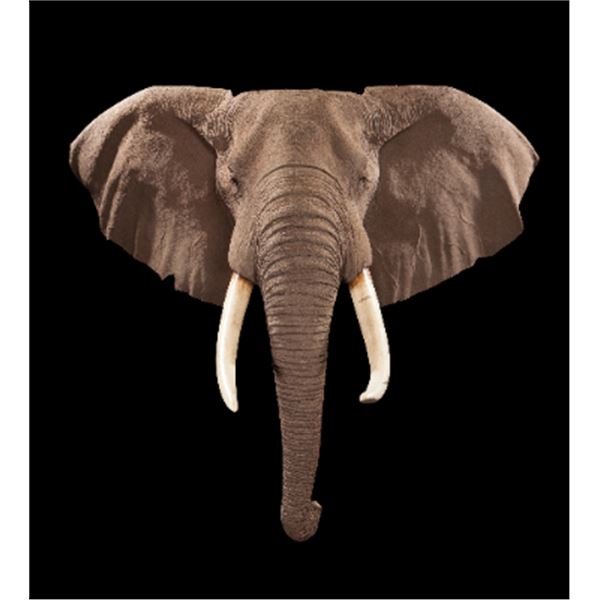 Elephant Replica Shoulder Mount