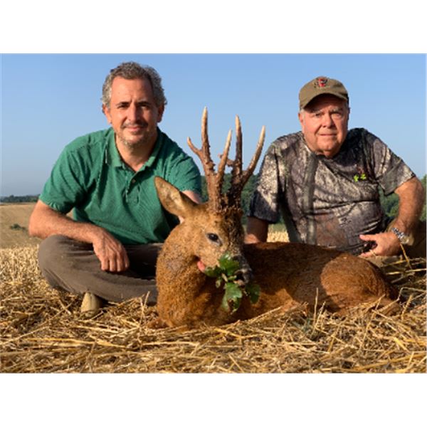 5-day Spain Iberian Red Deer, Mouflon Sheep or European Roe Deer for one Hunter and One Non-hunter